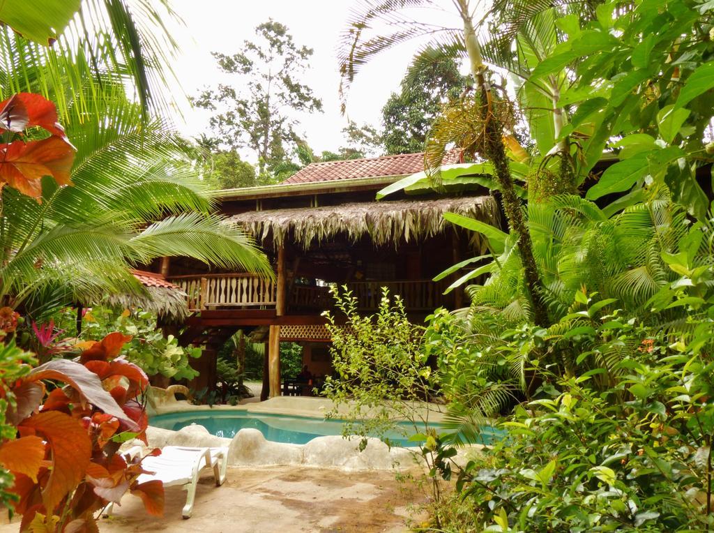 Caribe Town Bungalows Puerto Viejo de Talamanca Exterior photo