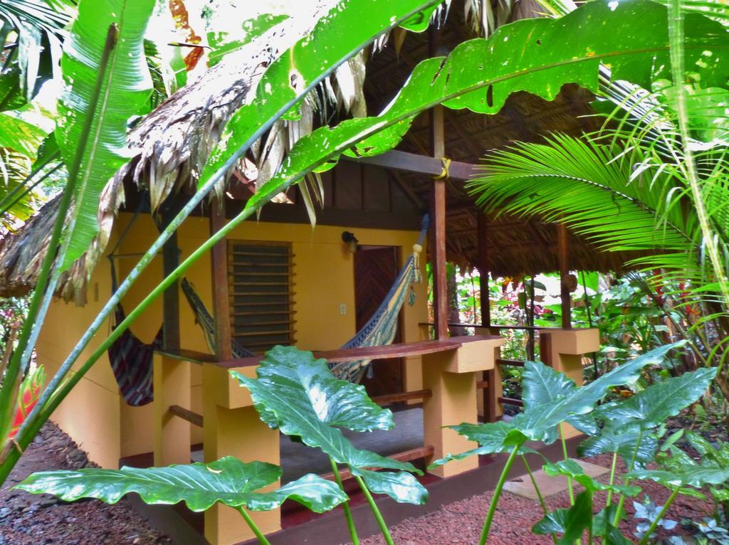 Caribe Town Bungalows Puerto Viejo de Talamanca Room photo