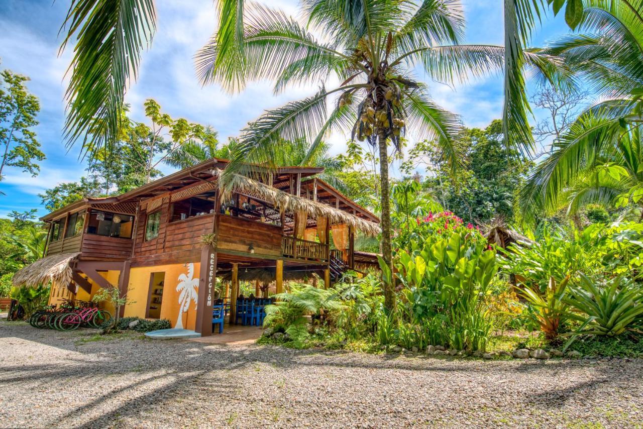 Caribe Town Bungalows Puerto Viejo de Talamanca Exterior photo